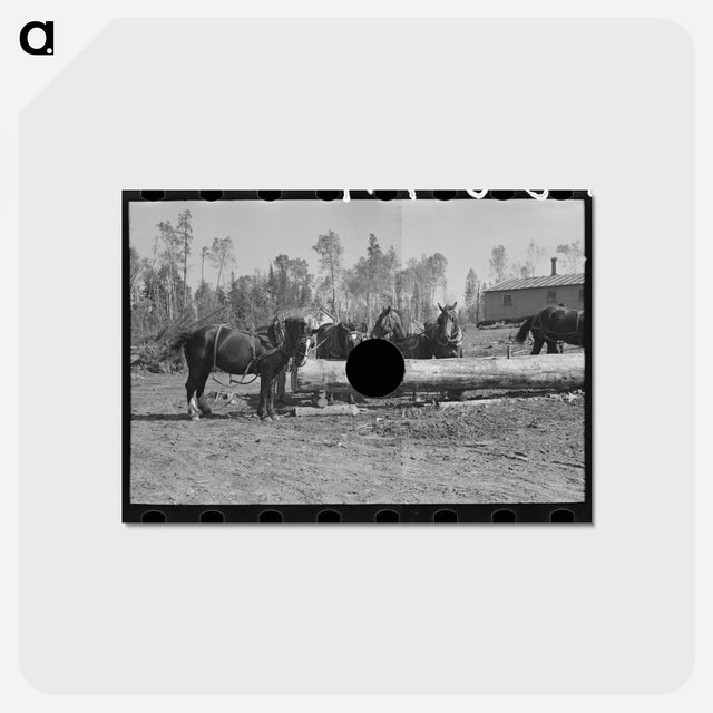 アートポストカード-Loading Pulpwood at Camp
 - ラッセル リー Postcard.