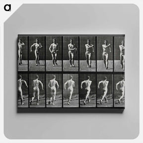 アートパネル-Speed-Walking Man
 - エドワード マイブリッジ Canvas.