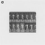 アートメモ帳-Speed-Walking Man
 - エドワード マイブリッジ Memo.
