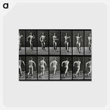 アートポストカード-Speed-Walking Man
 - エドワード マイブリッジ Postcard.