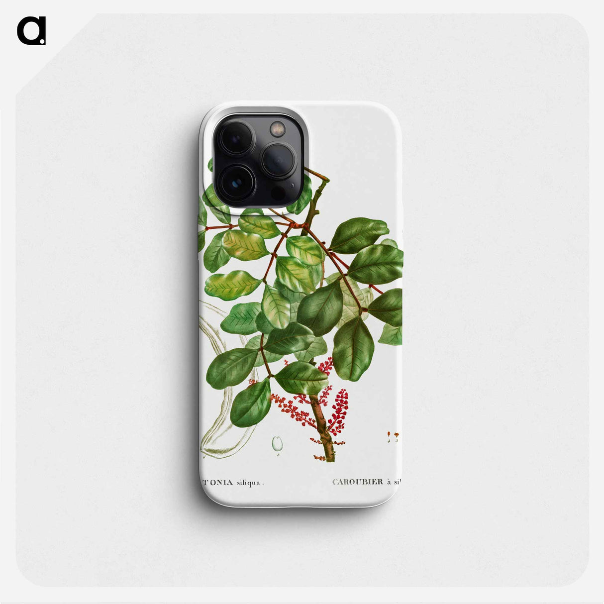 carob tree (Ceratonia siliqua) - Pierre Joseph Redouté Phone Case.