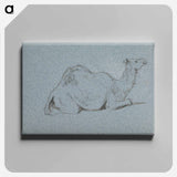 アートパネル-A Camel Resting, Side View to the Right
 - イェール大学アートギャラリー Canvas.