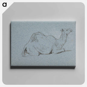 アートパネル-A Camel Resting, Side View to the Right
 - イェール大学アートギャラリー Canvas.