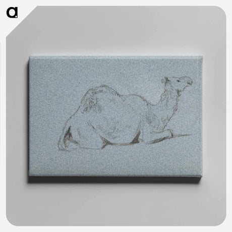 アートパネル-A Camel Resting, Side View to the Right
 - イェール大学アートギャラリー Canvas.