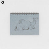 アートメモ帳-A Camel Resting, Side View to the Right
 - イェール大学アートギャラリー Memo.