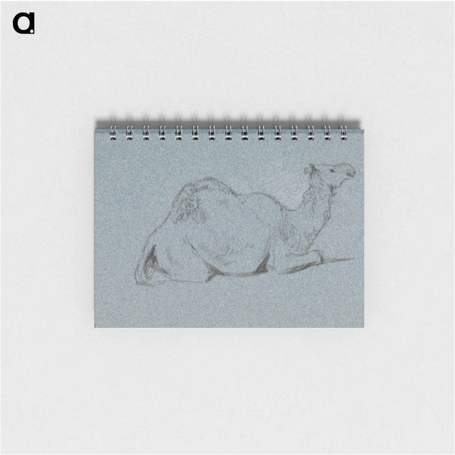アートメモ帳-A Camel Resting, Side View to the Right
 - イェール大学アートギャラリー Memo.