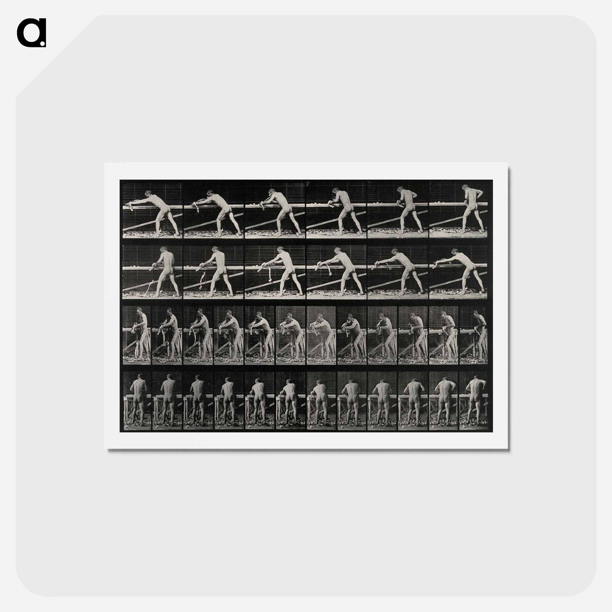 アートポストカード-The Carpenter
 - エドワード マイブリッジ Postcard.