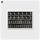 アートポストカード-The Carpenter
 - エドワード マイブリッジ Postcard.