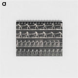 アートメモ帳-The Carpenter
 - エドワード マイブリッジ Memo.