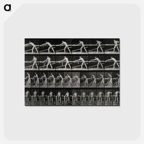 アートポストカード-The Carpenter
 - エドワード マイブリッジ Postcard.