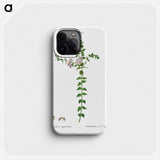 Heart-leaved polygala - ピエール ジョゼフ ルドゥーテ Phone Case.