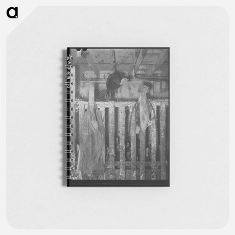 アートメモ帳-Emrick Farm: Livestock Feeding
 - ラッセル リー Memo.