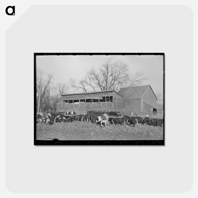アートポストカード-Emrick Farm: Livestock Feeding
 - ラッセル リー Postcard.