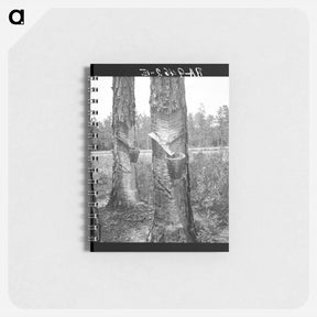 アートメモ帳-Turpentine trees - ドロテア ラング Memo.