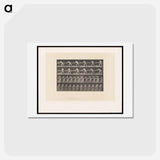 アートポストカード-The Carpenter
 - エドワード マイブリッジ Postcard.