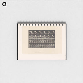 アートメモ帳-The Carpenter
 - エドワード マイブリッジ Memo.