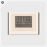 アートポストカード-The Carpenter
 - エドワード マイブリッジ Postcard.