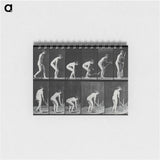 アートメモ帳-Sweeping
 - エドワード マイブリッジ Memo.