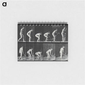 アートメモ帳-Sweeping
 - エドワード マイブリッジ Memo.