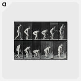 アートポストカード-Sweeping
 - エドワード マイブリッジ Postcard.