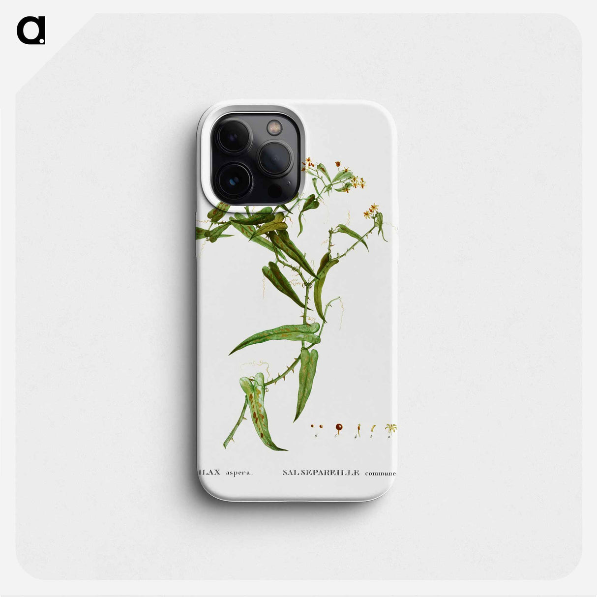 Smilax (Smilax aspera) - Pierre Joseph Redouté Phone Case.