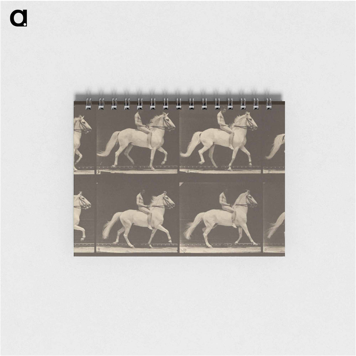 アートメモ帳-Animal Locomotion
 - エドワード マイブリッジ Memo.