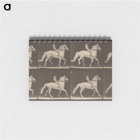 アートメモ帳-Animal Locomotion
 - エドワード マイブリッジ Memo.