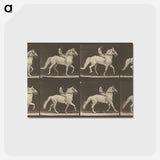 アートポストカード-Animal Locomotion
 - エドワード マイブリッジ Postcard.