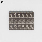 アートメモ帳-Brick-Layer
 - エドワード マイブリッジ Memo.