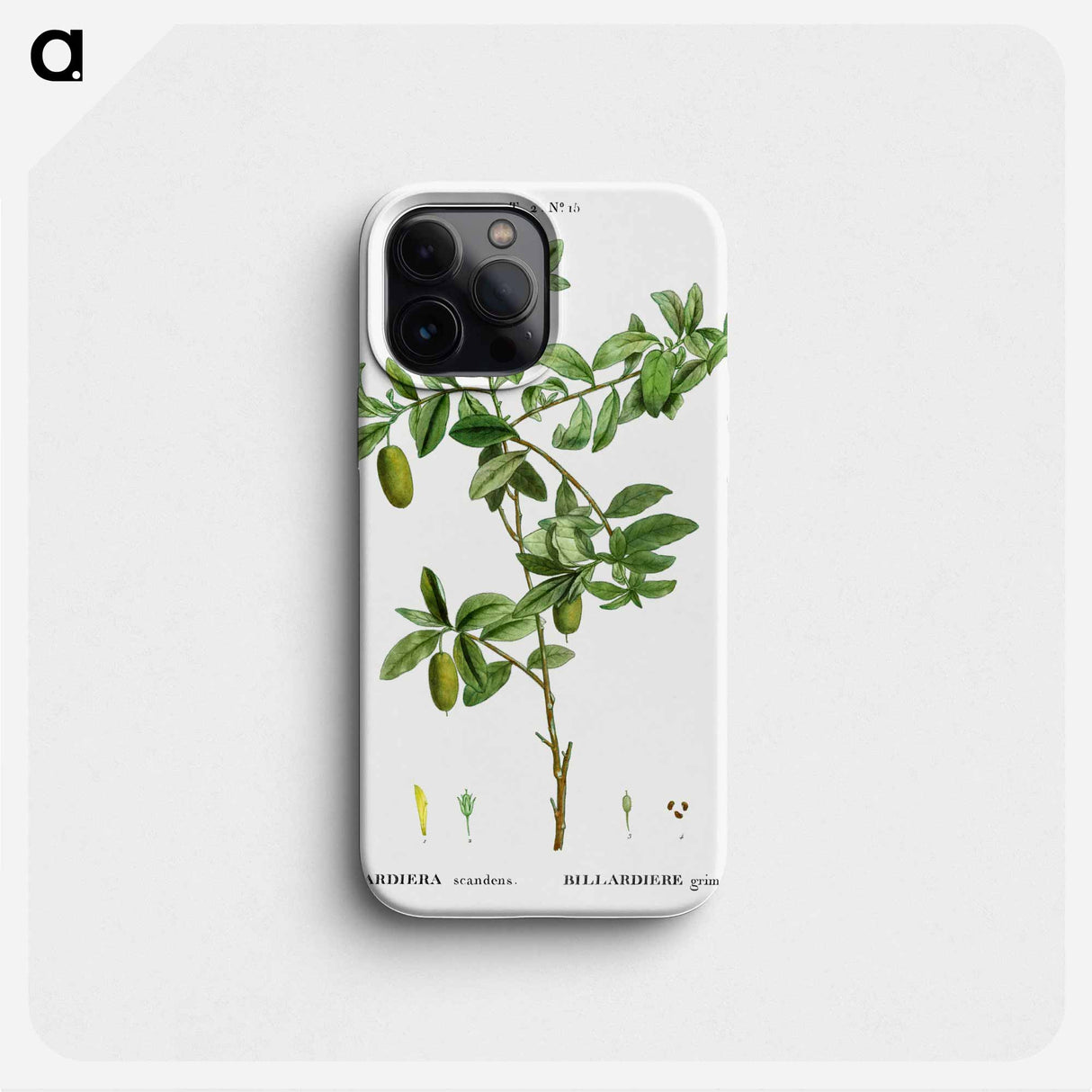 Apple berry - Pierre Joseph Redouté Phone Case.