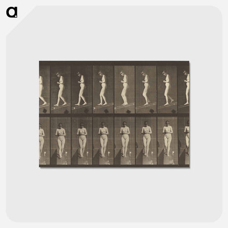 アートポストカード-Animal Locomotion
 - エドワード マイブリッジ Postcard.