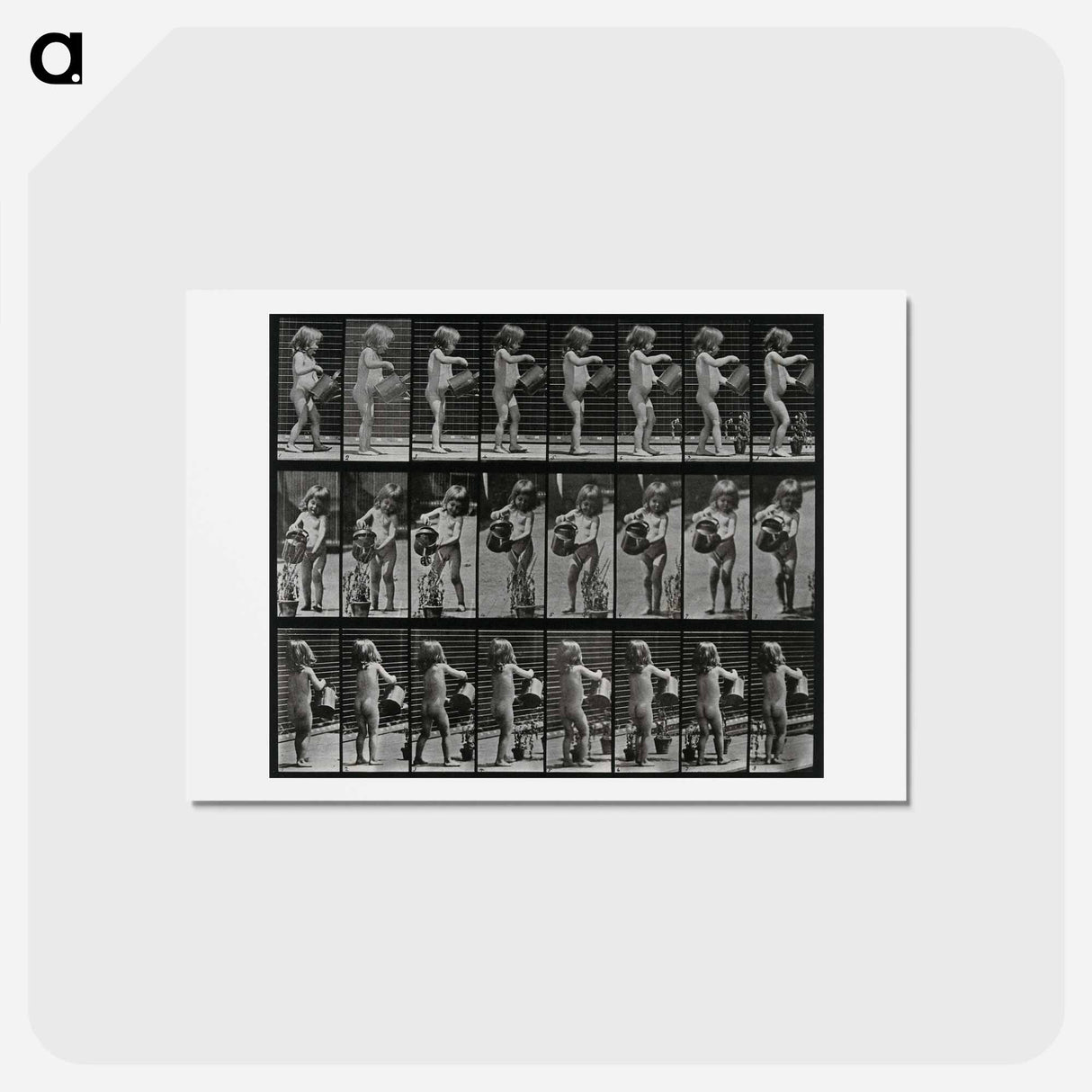 アートポストカード-Watering the Plant
 - エドワード マイブリッジ Postcard.