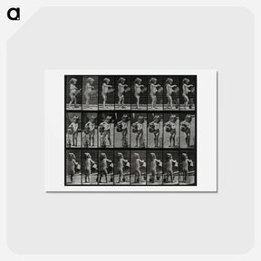 アートポストカード-Watering the Plant
 - エドワード マイブリッジ Postcard.