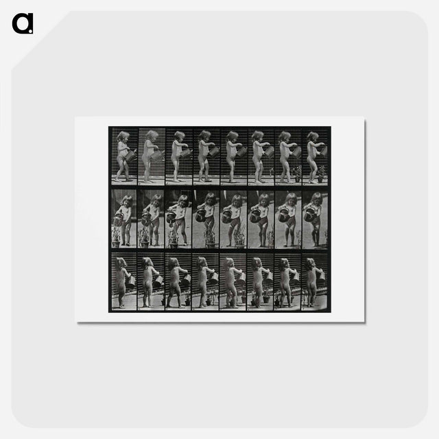 アートポストカード-Watering the Plant
 - エドワード マイブリッジ Postcard.
