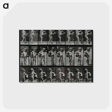 アートポストカード-Watering the Plant
 - エドワード マイブリッジ Postcard.