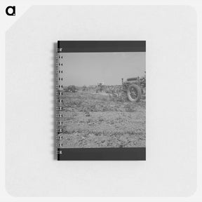 アートメモ帳-Aldridge Plantation, Mississippi - ドロテア ラング Memo.