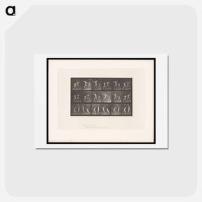 アートポストカード-Fencing Men
 - エドワード マイブリッジ Postcard.