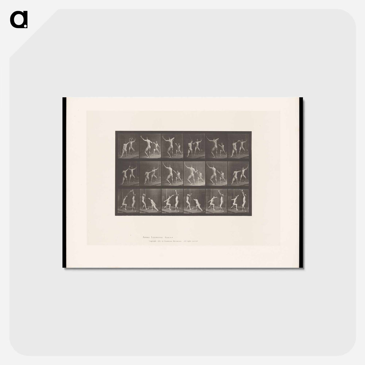 アートポストカード-Fencing Men
 - エドワード マイブリッジ Postcard.