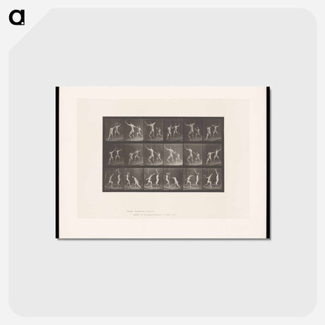 アートポストカード-Fencing Men
 - エドワード マイブリッジ Postcard.