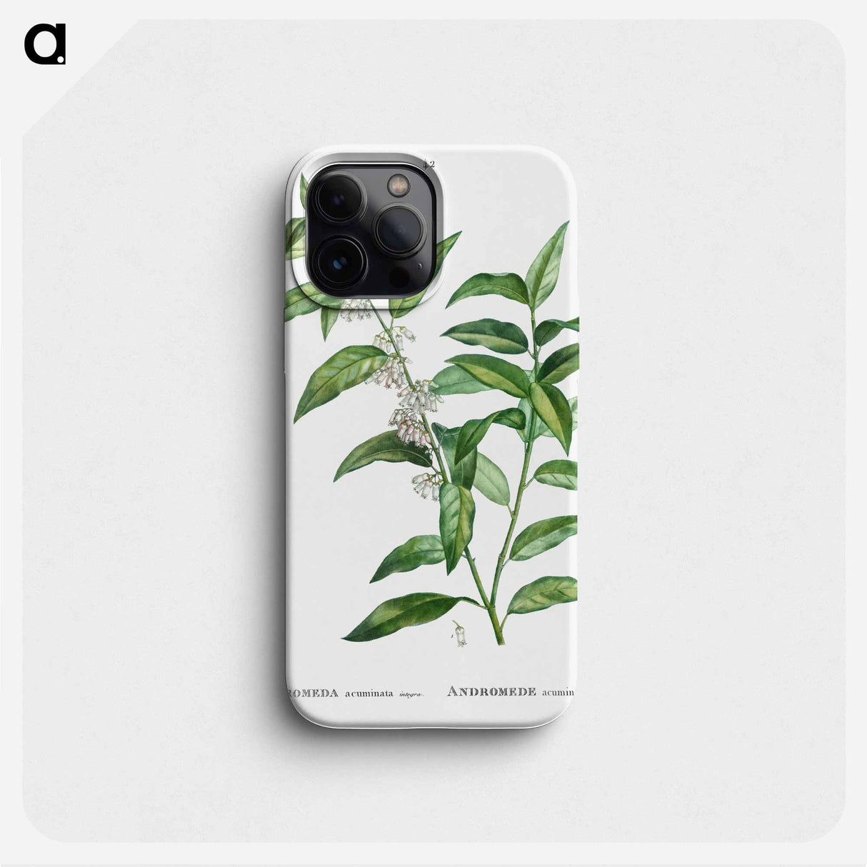 Andromeda acuminata - ピエール ジョゼフ ルドゥーテ Phone Case.