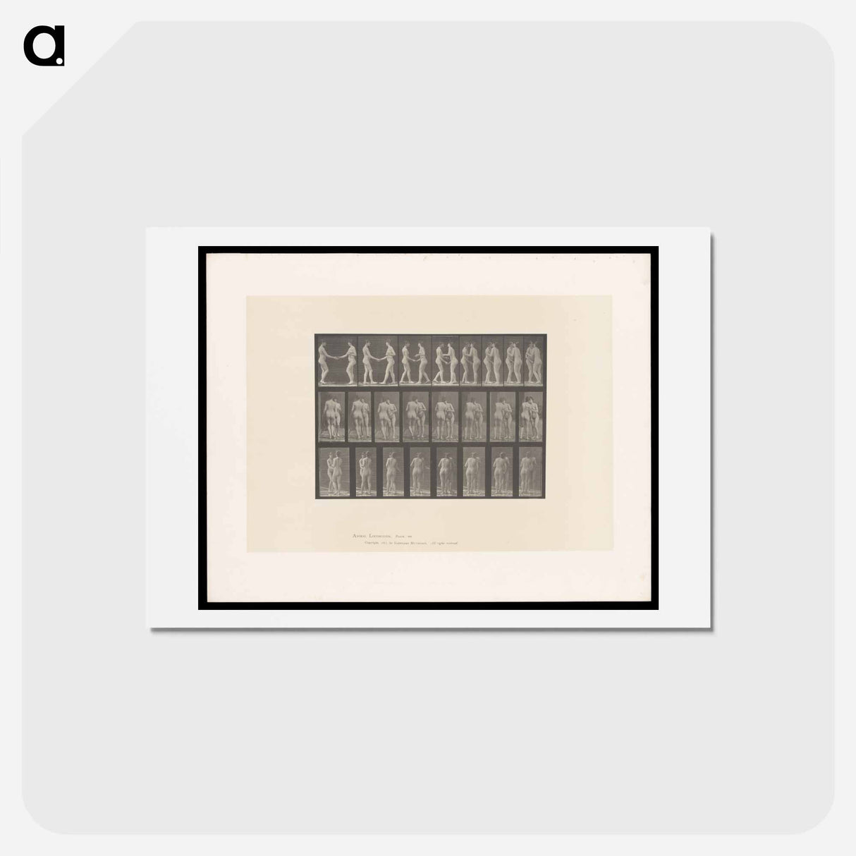 アートポストカード-The Kiss
 - エドワード マイブリッジ Postcard.