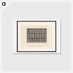 アートポストカード-The Kiss
 - エドワード マイブリッジ Postcard.