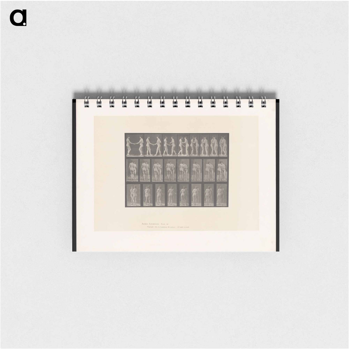 アートメモ帳-The Kiss
 - エドワード マイブリッジ Memo.