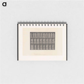 アートメモ帳-The Kiss
 - エドワード マイブリッジ Memo.