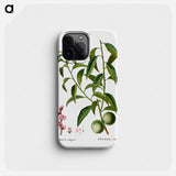 Peach, Persica vulgaris - Pierre Joseph Redouté Phone Case.