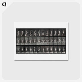 アートポストカード-Skipping Woman
 - エドワード マイブリッジ Postcard.
