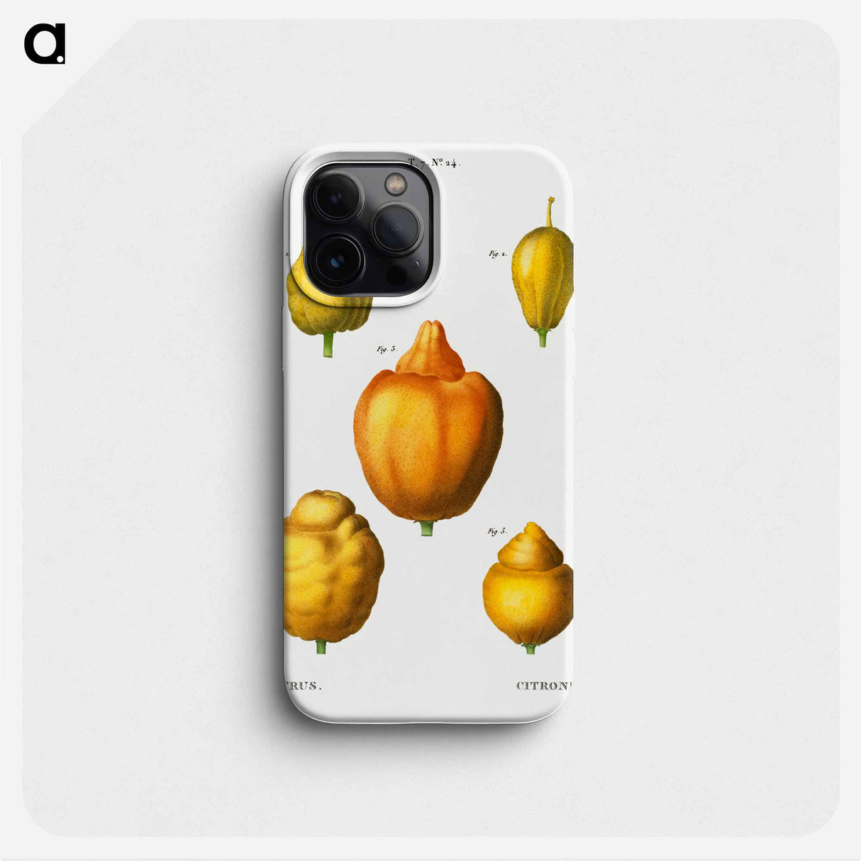 Various shapes of citrus - ピエール ジョゼフ ルドゥーテ Phone Case.