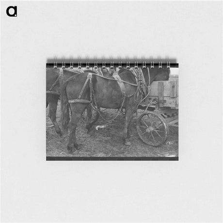 アートメモ帳-Miner's Cabin and Trail
 - ラッセル リー Memo.