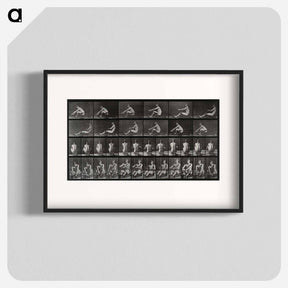 アートポスター-Man Rowing
 - エドワード マイブリッジ Poster.