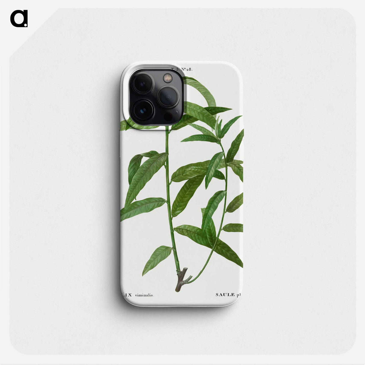 Basket willow - Pierre Joseph Redouté Phone Case.